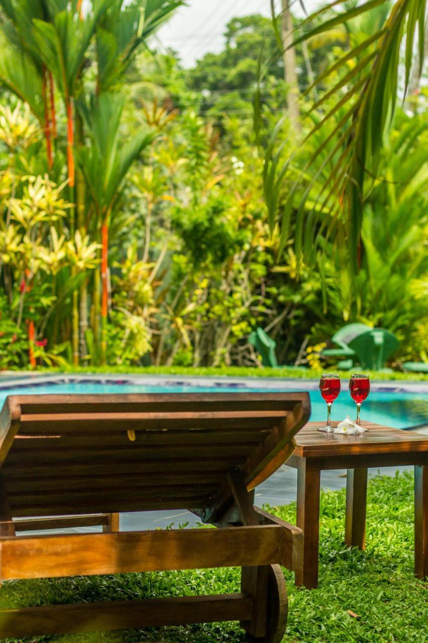 Sakura Villa Bentota Zewnętrze zdjęcie